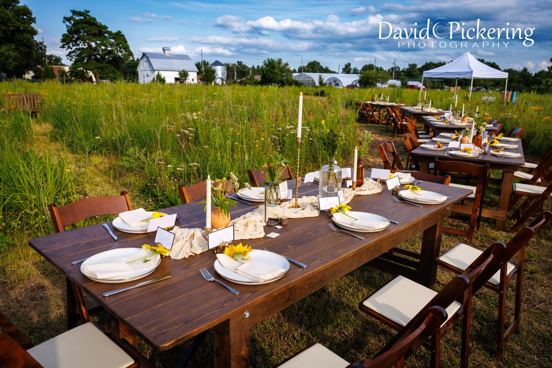 Farm table set with sunflowers, the barn and greenhouses behind