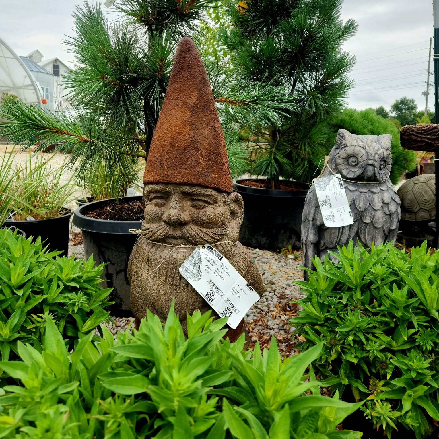 Cast stone gnome and owl garden ornaments among pines and perennials